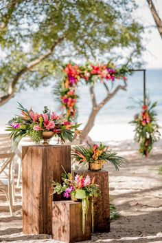 Arche (fleurs de soie et naturelles) pack Tropical