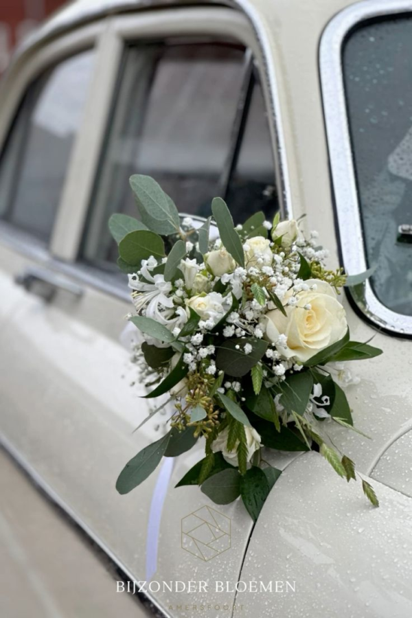 Décoration de voiture - rétroviseurs - pack Hivernal